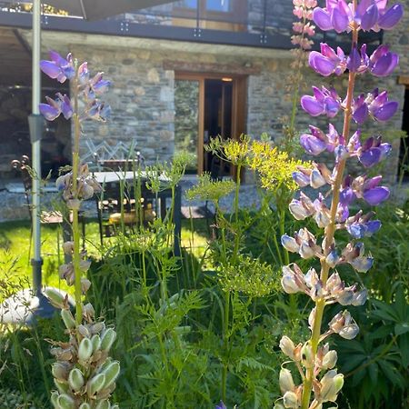 Le Lodge, Pyrenees 2000 - Jardin, Tres Calme, Espace Rangement Bolquere Pyrenees 2000 エクステリア 写真